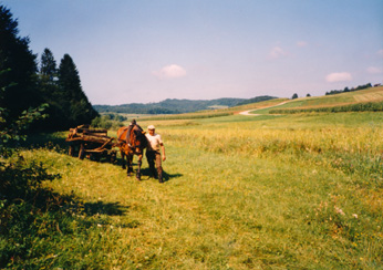 eika image